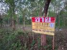 ขายที่ดินราคาถูก 4-0-98 ไร่  ติดถนนลาดยาง  บ้านเมืองบาง  เมืองหนอ