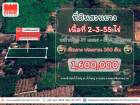 ที่ดินสวนยาง 350  ต้น พร้อมผลผลิต