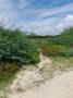 ขายที่ดิน2แปลง18ไร่85ตร.ว.และ3ไร่88ตร.ว.ใกล้ทะเลหาดเจ้าสำราญ เพชร