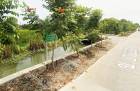 ขายที่ดินติดคลอง นครชัยศรี – ราคาพิเศษ