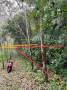 Beautiful island for sale 6 Rais with Chanote