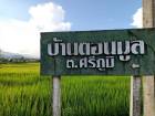 ทำเลซื้อขายสิ่งสำคัญ ขายที่ติดแม่น้ำน่าน อ.ท่าวังผา น่าน 09688218