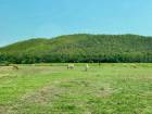 ที่ดินแปลงใหญ่ ราคาดี วิวโล่งโปร่ง เป็นธรรมชาติ ร้องวัวแดง สันกำแ