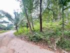 Investment Opportunity 5392 sqm Land Near Lipa Noi Beach Koh Samu