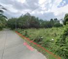 Prime 1-Rai Beach Proximity Land in Koh Samui - Only 3.7M THB