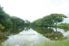 ที่ดินติดถนน ติดหนองน้ำ เหมาะทำบ้านสวน แม่ปูคา สันกำแพง 