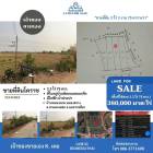 ขายด่วนที่ดินโคราช 3 ไร่ 3 งาน 75 ตรว มีไฟฟ้า น้ำประปา