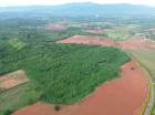 ขาย ที่ดิน เขาใหญ่ ต.​โป่งตาลอง​ อ.ปากช่อง 51 ไร่ ​ที่เป็นเนิน เห็นวิว360องศา​