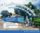 ขายที่ดินเมืองนนทบุรี การประปานครหลวงสำนักงานใหญ่