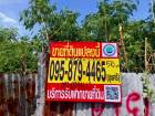 ขายถูก ที่ดินคลองเจ็ด 50 ตรว ติดถนนคอนกรีตสาธารณะ ซ.เทศบาล 2 อ.ลำลูกกา  จ.ปทุมธานี  