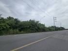 ขายที่ดินเปล่า 8-3-73.3 ไร่ ถนนสวนพริกไทย เมืองปทุมธานี ใกล้วัดเส
