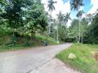  3 Rai Chanote Land in Lipa Noi, Perfect for Business or Resort