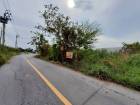 ขายที่ดินผังสีม่วง 441 ตรว(แบ่งได้)แปลงมุม ติดถนน นบ.5036 อ.ไทรน้อย จ.นนทบุรี