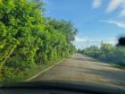 ตุนทรัพย์เก็บขายเก็งกำไร  ที่สวยติดถนนคอนกรีต ต.อ.มหาราช อยุธยา 