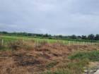 ขายที่ดิน5- 40 ไร่ ถมแล้ว เขต EEC ติดถนนสาธารณะ อ.เมืองฉะเชิงเทรา