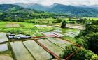 ขายที่ดิน ปัว น่าน 707 ตร.ว. ราคา 1.9 ล้าน