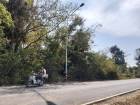 ขายที่ดิน 3-1-20 ไร่  ประโคนชัย บุรีรัมย์ ดินติดชลประทาน