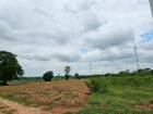 ขายที่ดิน 11- 2-70 ไร่ วิวทุ่งกังหันลม ห้วยบง ด่านขุนทด นครราชสีม