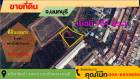 ขายที่ดิน ทำเลดี
