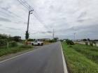 ขายที่ดินคลอง 4 ใกล้มอเตอร์เวย์  200 ตรว ติดถนนสาธารณะ อ.คลองหลวง จ,ปทุมธานี 