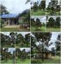 บ้านสวนทุเรียน 1ไร่ 3งาน หน้าสวนถนนลาดยาง