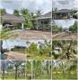 บ้านสวนพร้อมอยู่ 2ไร่ 3งาน 74ตร.วา️