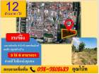ขายที่ดิน ทำเลดี บางพลี ไร่ละ 12ล้านต่อไร่