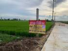 ขายด่วนที่ดินสวย 2 ไร่  ลำลูกกาคลอง10  ใกล้สนามฝึกขี่ม้า ปทุมธานี