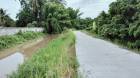 ขายที่ดินสวนลำไย บ้านหนองดู่  ต.บ้านเรือน อ.ป่าซาง จ.ลำพูน