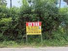 ขายที่ดิน 11-0-12 ไร่  ติดทะเล   ปากน้ำปราณ  ปราณบุรี  