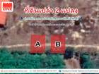 ที่ดินเปล่า 2 แปลง อำเภอป่าพะยอม 
