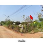 ขายบ้านเดี่ยว เมืองฉะเชิงเทรา จังหวัดฉะเชิงเทรา