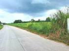 ขายที่ดินสวยราคาถูกหนองบอนแดง บนเนื้อที่ดิน 25-0-51 ไร่  