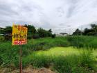 ขายด่วนที่ดินติดคลองลาดปลาดุก 399 ตรว แปลงมุม ช.โรงเรียนสากลศึกษา อ.บางบัวทอง จ.นนทบุรี 