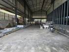 ขาย โกดัง ออฟฟิศ พร้อมใช้งาน ทำเลทอง ลาดหลุมแก้ว กม.9 ปทุมธานี 