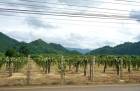 ขายที่เขาวง เขาใหญ่ ปากช่อง หนองน้ำแดง 20 ไร่ ติดถนนเส้นหลักเขาวง ที่สวย วิวเขาสวยชัดมาก ใกล้ภูเขา ใกล้ถนนธนะรัชต์ ศูนย์ผู้นำCP ใกล้มอเตอร์เวย์ ห้างชุมชนร้านค้า ถนนมิตรภาพ ที่สูงบรรยากาศดี 087-9074045