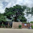 PZ1154  ขายที่ดิน พร้อมบ้าน  เนื้อที่ 200 ตรว. ลำลูกกา จังหวัดปทุ