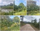ที่ดินติดถนน 1ไร่ 83ตร.วา️