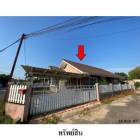 ขายบ้านเดี่ยวโครงการ รวิพร-บ้านร่มไทร หนองปลาไหล บางละมุง ชลบุรี