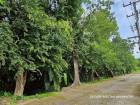ขายต่ำกว่าราคาประเมิน ที่สวนป่าสวย ต.พรหมณี อ.เมืองนครนายก