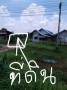 ขายด่วนที่ดิน เนื้อที่ 1 ไร่ ตำบลวังไชย อำเภอบรบือ
