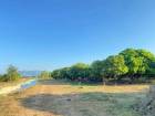 ที่ดินสวนลำไย บรรยากาศธรรมชาติ ติดคลองชลประทาน สันกำแพง