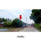 ขายบ้านเดี่ยวถนน พานทอง-หนองแช่แว่น  มาบโป่ง  พานทอง ชลบุรี
