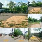 ที่ดินถมแล้ว ใจกลางหมู่บ้านโนนตุ่น เป็นซอยตันแต่ไม่ลึก ทำให้เป็นส่วนตัว เมืองขอนแก่น