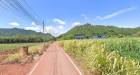 ขายที่เขาวง เขาใหญ่ 6ไร่ หนองน้ำแดง ปากช่อง วิวเขาสวย ธนะรัชต์