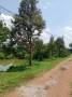ขายที่ดินสวนทุเรียนจังหวัดแพร่ เหมาะเป็นพักอาศัย ทำสวน และซื้อเก็