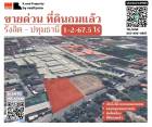 ขายที่ดิน ถมแล้วทั้งแปลง รังสิต-ปทุมธานี