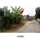 ขายที่่่ดินว่างเปล่า ถนน พาณิชพัฒนา 1 พนัสนิคม ชลบุรี