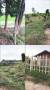 ขายที่ดิน 200ตรว - 5ไร่ อยู่อำเภอเมือง นครสวรรค์ เป็นที่สวน มีต้นไม้เยอะ ที่สูงน้ำไม่ท่วม ขายราคาถูก