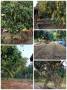 ขายที่ดิน น.ส.3.ก พร้อมบ้านสวน ตำบลแก้มอ้น อำเภอจอมบึง จังหวัดราช